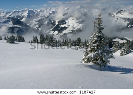 alpine scene