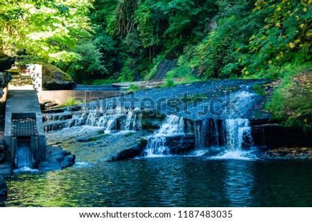 Lake Creek Falls and fish ladder near Eugene, Oregon