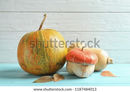 Different pumpkins on table against wooden wall. Autumn holidays