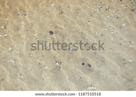 Sea bottom sand and seashells under the layer of water on a hot summer