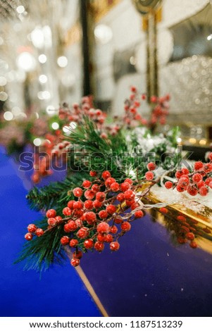 Image of New Year branch of fir tree with red berries