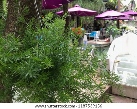Beautiful garden coffee shop with light vintage decorations 