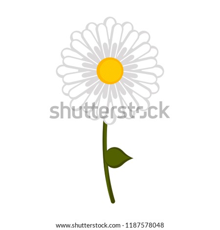 Isolated daisy flower icon