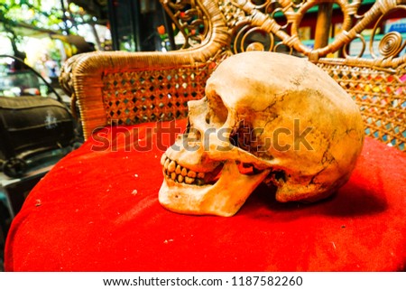 The skull was put on a red cushion on the wooden chair