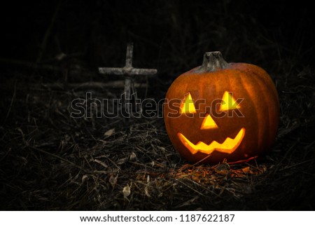 Halloween and darkness theme. Put grain in picture to make an image feel a mystery. Head pumpkin Jack o lantern at cemetery in a forest filled with weeds on night dark background which has dim light.