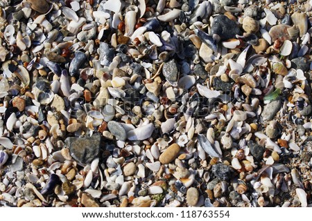 Macro shot of the beach sand