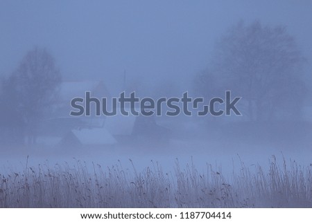 snow fog landscape snowfall / winter landscape cold seasonal weather, nature in winter form, foggy outside