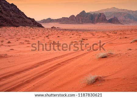 silence of pink sunset in desert