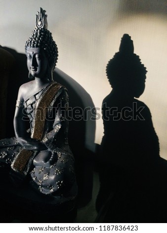 A shadow of Lord Buddha 
