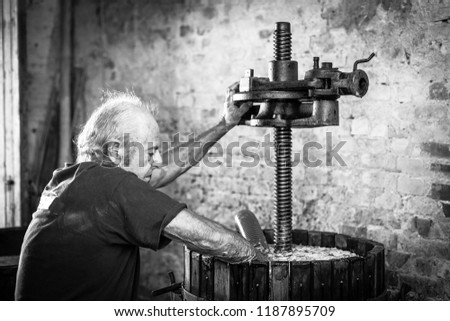 Grape harvest: old winemaker farmer working on a vintage wine press. Black and white picture 