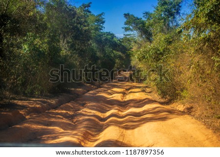 The road to the Tsingy de Bemaraha