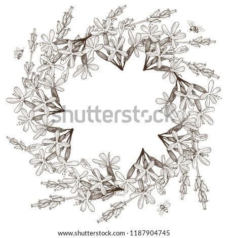 Wreath of wild herbal flowers. Vector. Hand drawn artwork. Love concept for wedding invitations, cards, tickets, congratulations, branding, boutique logo, label. Botanical style sketch