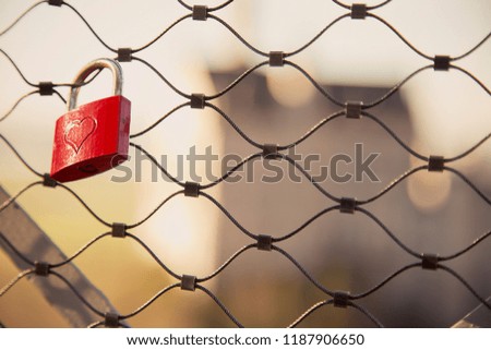 Love in the fence