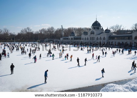 Skating people on a sunny winter day