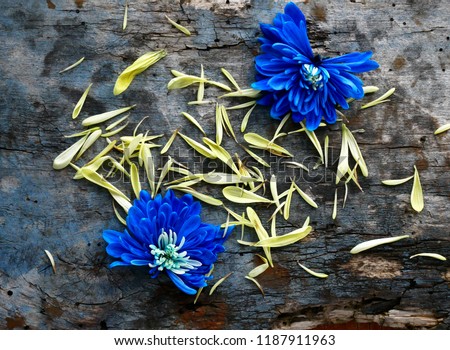 Symbol percent lined with petals on a wooden background.