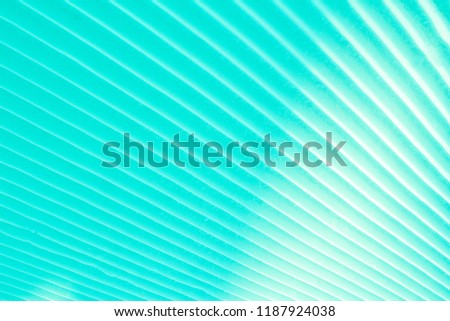 Geometrical background of diagonal parallel snow stripes