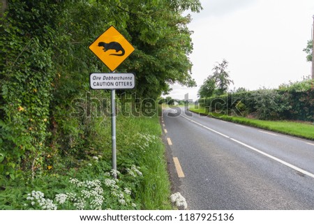 Caution, otter, otters are crossing on road sign symbol in Ireland, near Dublin