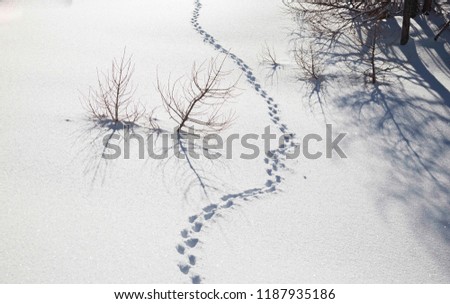 Snowy winter alpine landscape on a sunny day, with shadows and shimmering snow.
