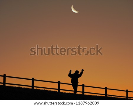 A waning crescent at dawn