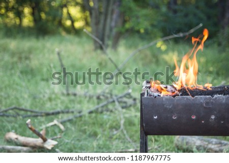 A small folding portable brazier filled with burning wood. Cooking on the grill. Safe fire in nature
