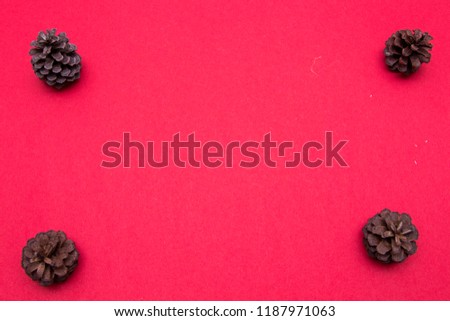 Christmas decoration. spruce and fir-cone on red background