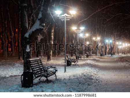 Winter night landscape scene of snow covered bench among snowy trees and shining lights after snowfall
