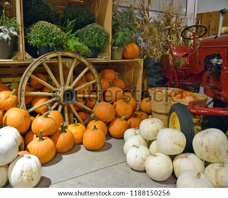 Pumpkin display with fall theme.