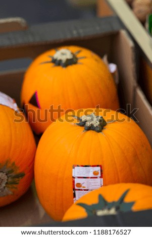Pumpkins on halloween market