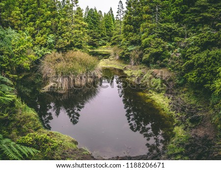 Small lagoon in the middle of a forest Misterios Negros on Terceira island 