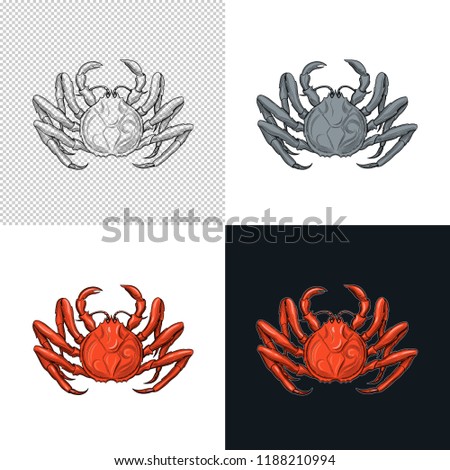 Crab. Seafood. Vector illustration. Isolated image on white background. Vintage style.