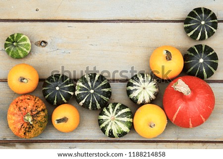 Cluster of beautiful decorative pumpkins on a vintage table stock photo
