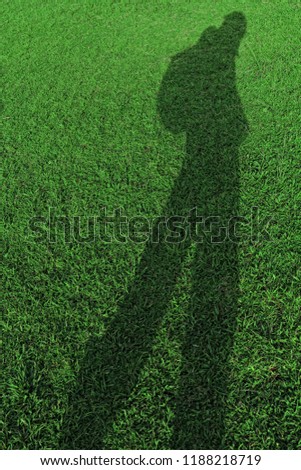 green grass and shadow
