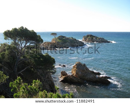 Photos appreciate during the randonnee of the beach of CABASSON, at feet of the fort of Bregancon, in the beach of the pellegrin, in the Var, FRANCE Royalty-Free Stock Photo #11882491