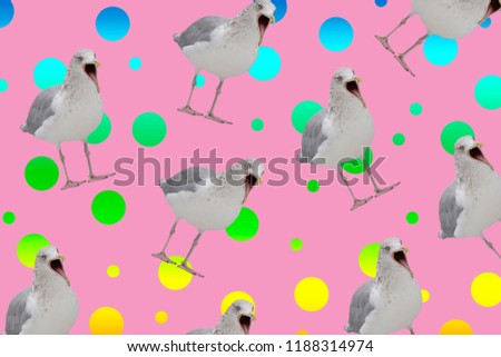 funny bird pigeon representation on surreal pop background, contemporary graphic design mood