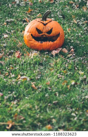 Scary decomposing pumpkin