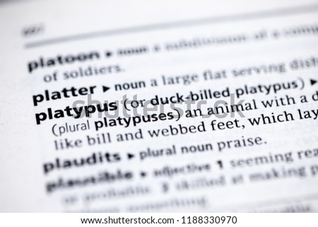 Close up to the dictionary definition of Platypus 