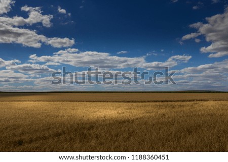Moravian Tuscany. Fields in the vicinity of Svatobořice and Mistrin during the summer days before harvesting cereals. A gorgeous sky full of clouds, the paths that go between the field and the meadows