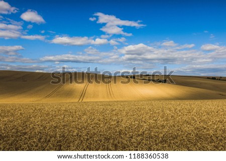 Fields in the vicinity of Svatobořice and Mistrin during the summer days before harvesting cereals. A gorgeous sky full of clouds, the paths that go between the fields