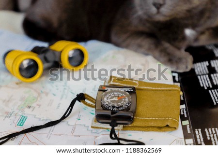 Compass and binoculars lie on the map in the background gray cat