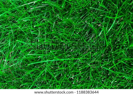 Green grass field photography, Close up
