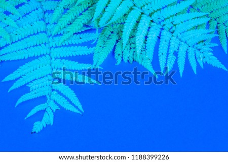 Blue autumn leaf fern on a soft blue background. Cold winter cozy concept.