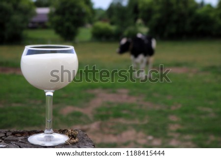Wine glass filled with milk on a fence post with Holstein Cow in the background