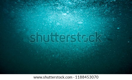 Looking at bubbles under water in the ocean. A large cloud of them is floating up and filled with the suns light.