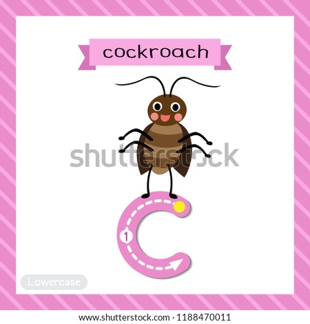 Letter C lowercase cute children colorful zoo and animals ABC alphabet tracing flashcard of Happy standing Cockroach for kids learning English vocabulary and handwriting vector illustration.