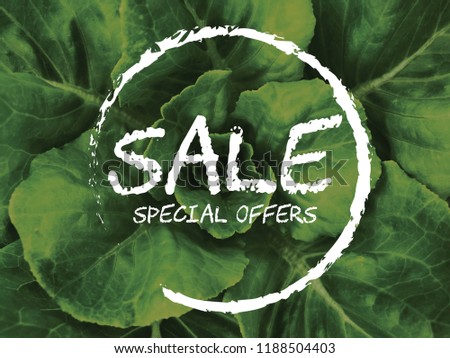 Sale Special offers poster on vegetable background in chalk style letters.