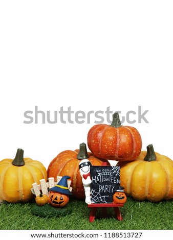 the halloween pumpkins