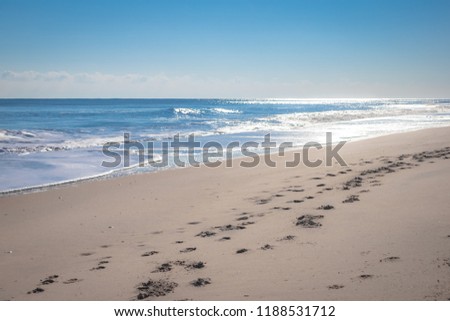 Clean sand beach meet clam tropical ocean with small waves and some of foot trail on sand on sunny day in Summer - Ocean City, Maryland USA  Royalty-Free Stock Photo #1188531712