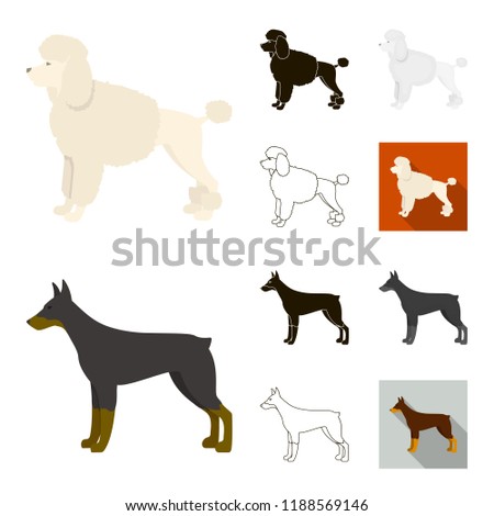 Dog breeds cartoon,black,flat,monochrome,outline icons in set collection for design.Dog pet bitmap symbol stock web illustration.