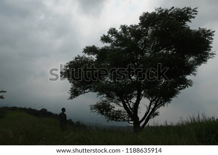 
silhouette of a man alone and a large flower on a hill. view on the mountain 'Penanggungan' East Java