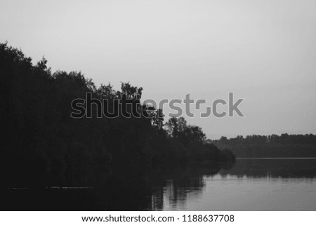 Moody landscape of dark forest near a river. Black and white photography.